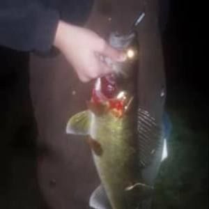 Meet your Posher, Ethan